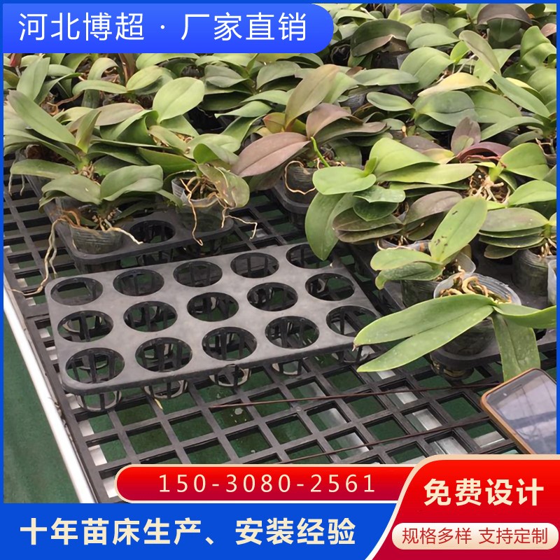 ���ϾW(w��ng)Ƭ�Ƅ�(d��ng)�紲